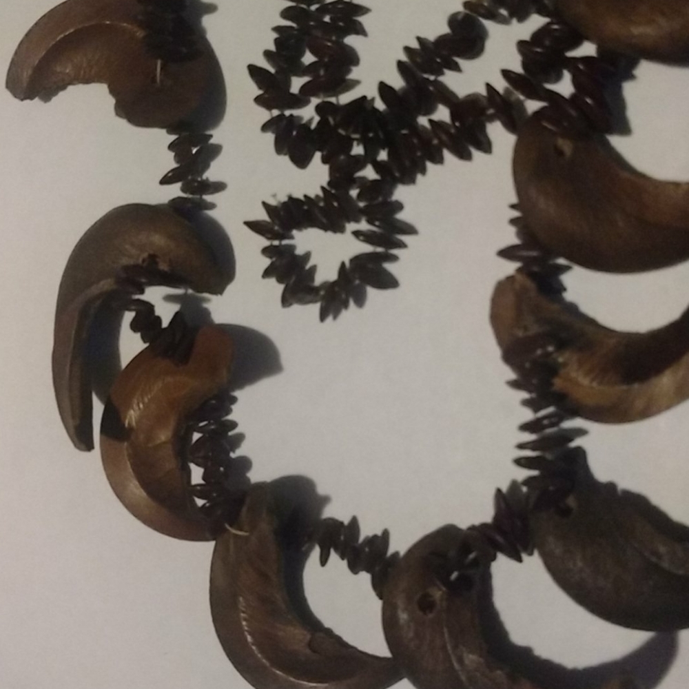 Apple seed and coconut neckace